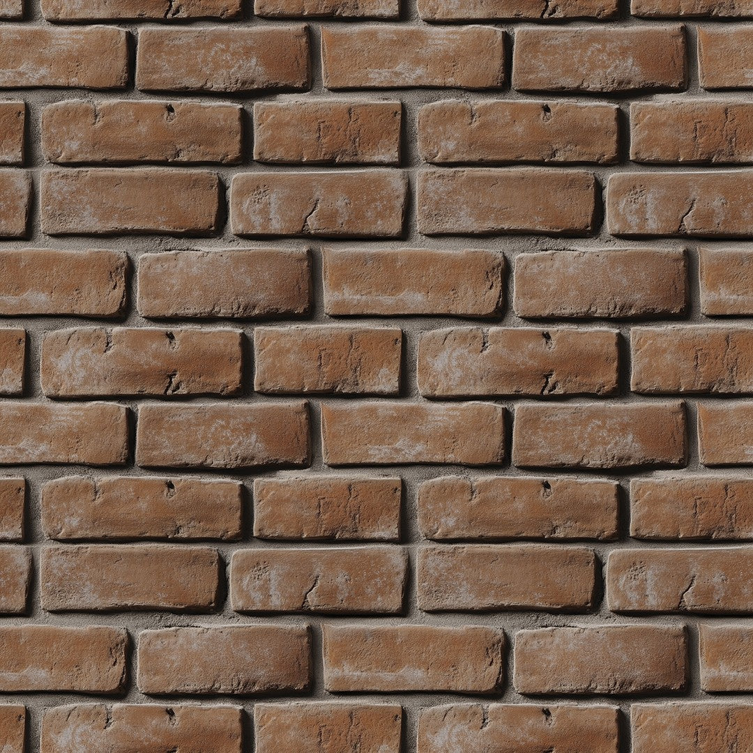 Natural Brick Wall