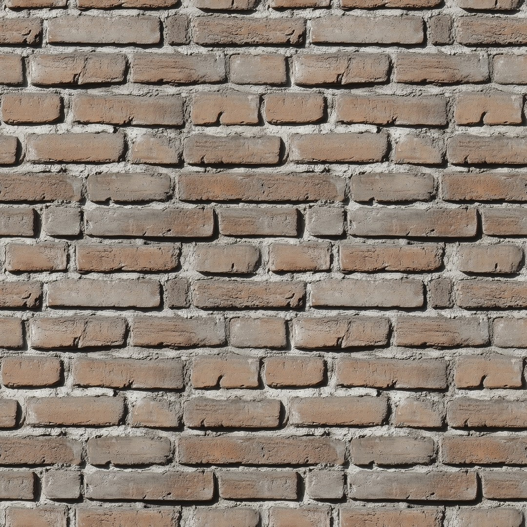 Soft Clay Brick