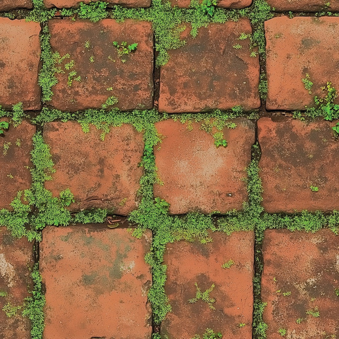 Raw Clay Brick