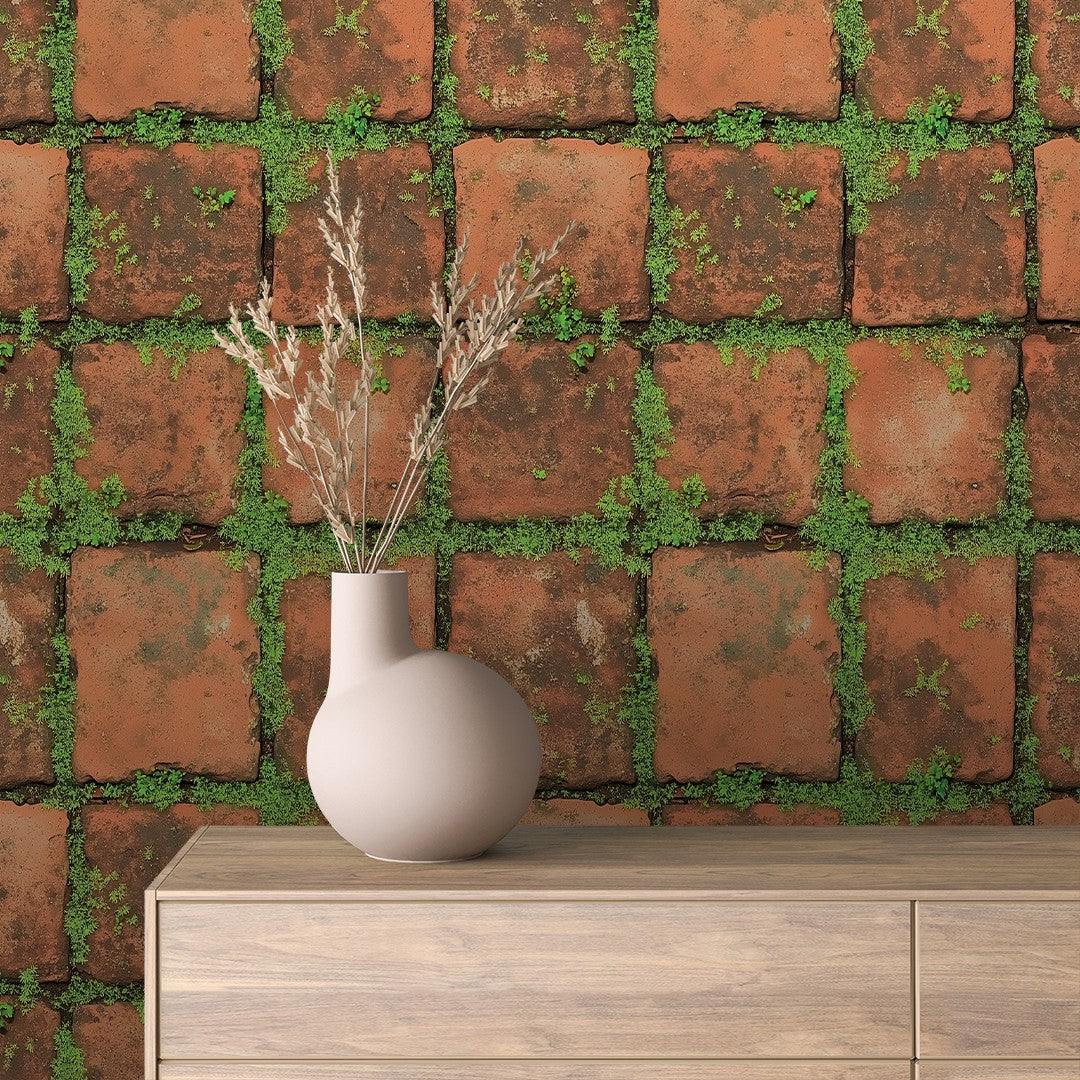 Raw Clay Brick