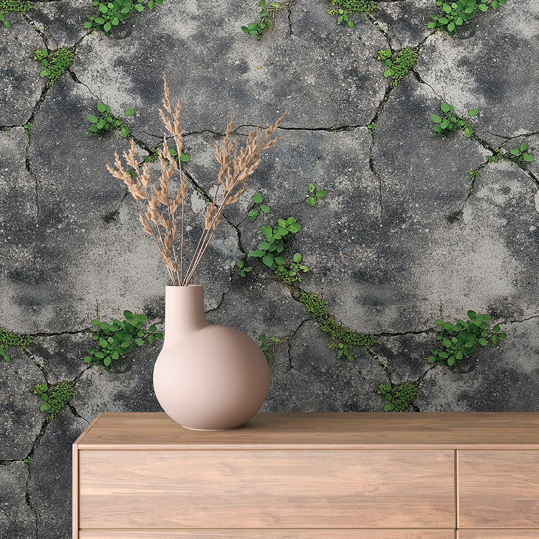 Cracked Wall Concrete