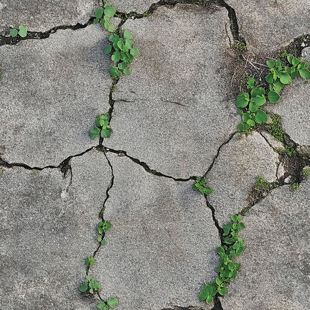 Natural Crack Concrete