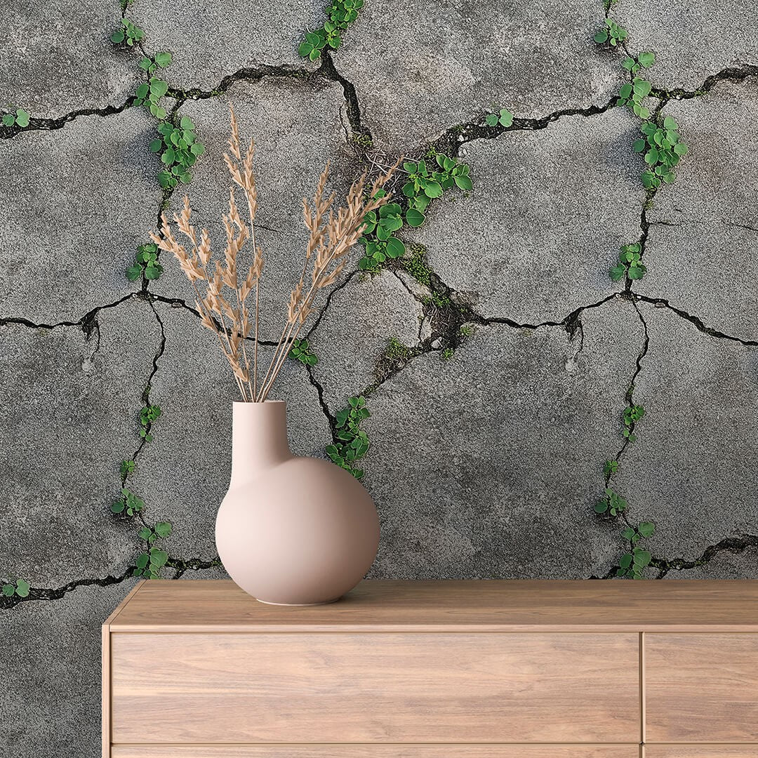 Natural Crack Concrete