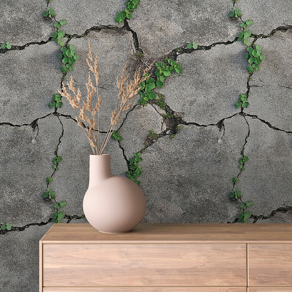 Natural Crack Concrete