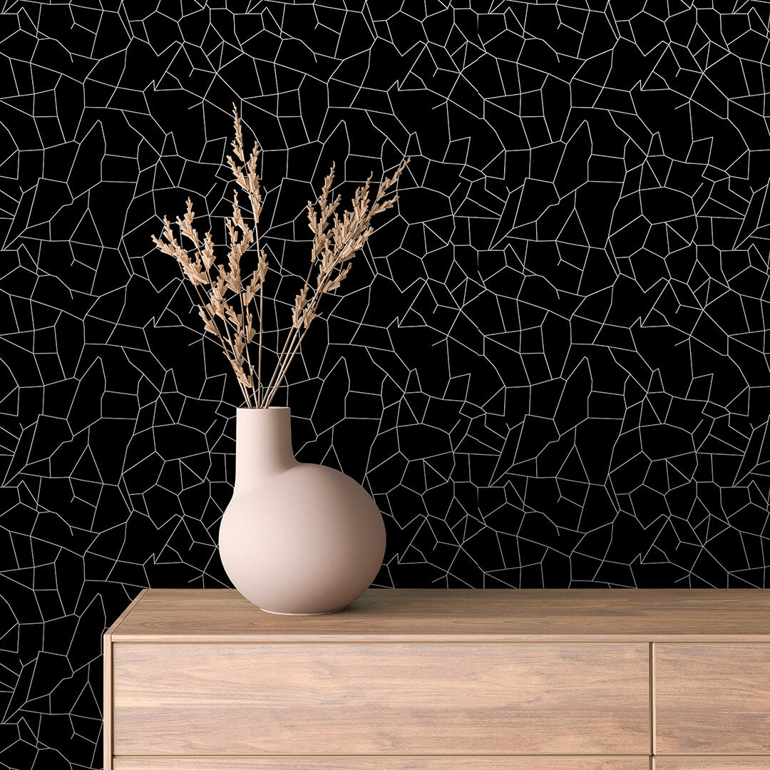 Midnight Abstract Web Geometric