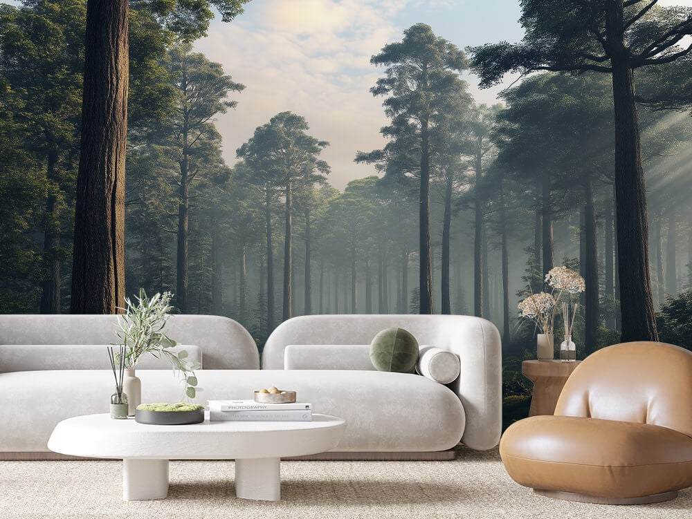 Pine Forest Mist Landscape