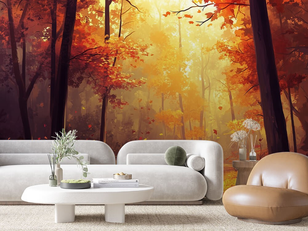 Sunset Forest Light Landscape