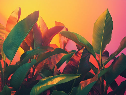 Exotic Color Leaves Scene