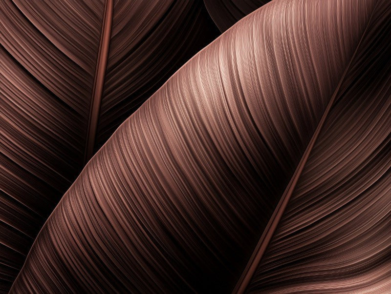 Brown Leaves Texture Closeup