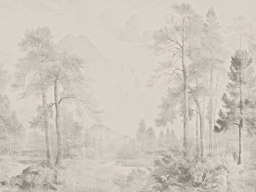 Misty Forest Landscape