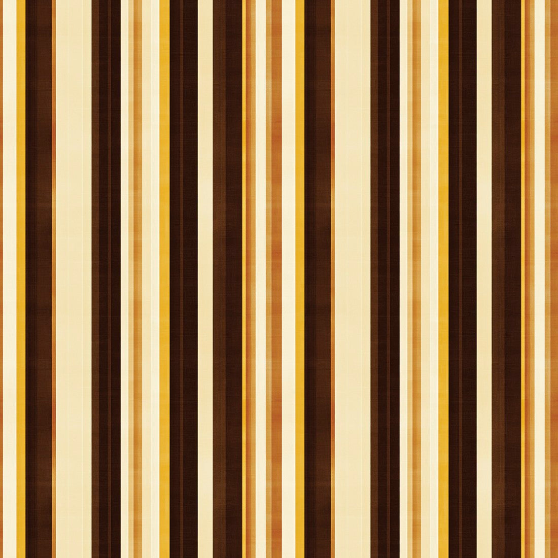 Golden Cream Stripes