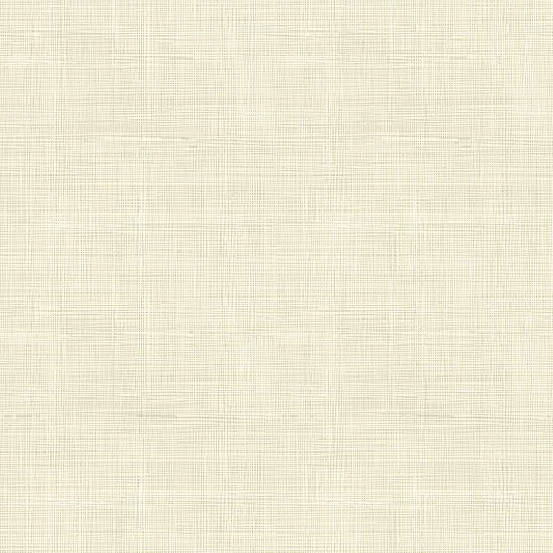 Classic Canvas Sand Texture