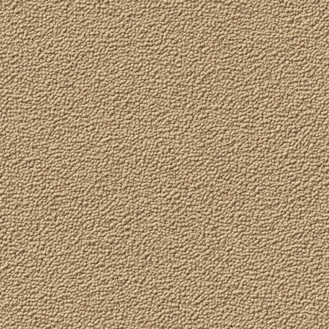 Soft Concrete Beige Texture